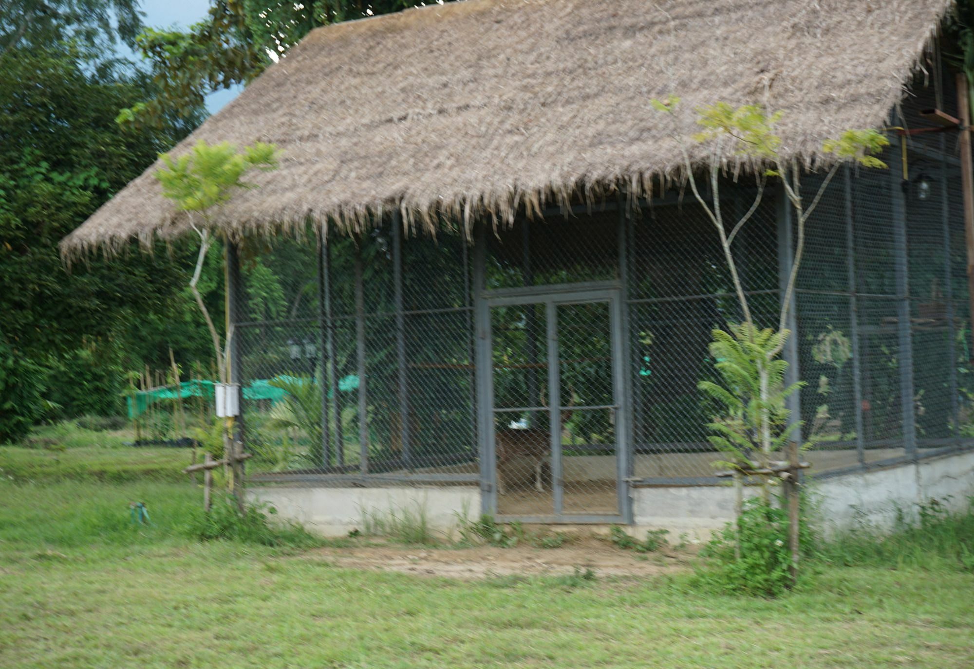 Ban Suan Tawan Chiang Dao Hotel Exterior photo
